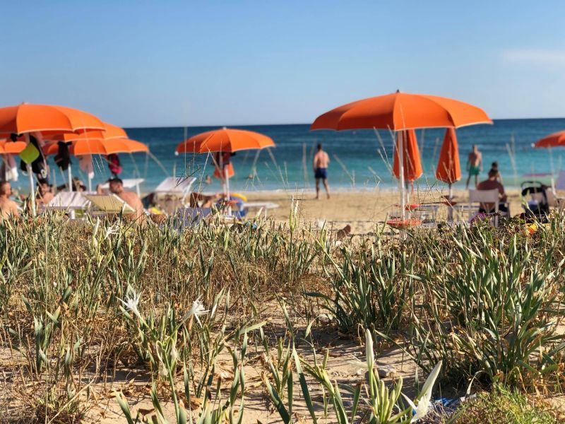 Lido Tropical