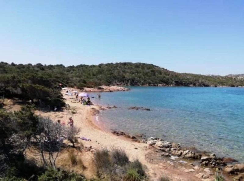 Arvepana Onlus Doggie Beach