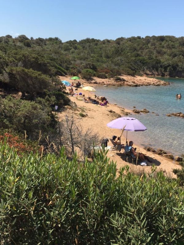 Arvepana Onlus Doggie Beach