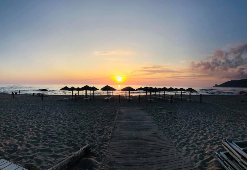 White Lion Beach Club