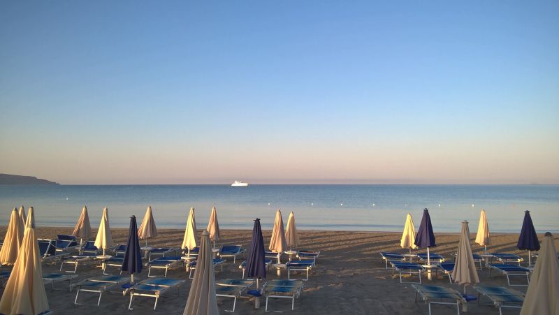 Il Delfino