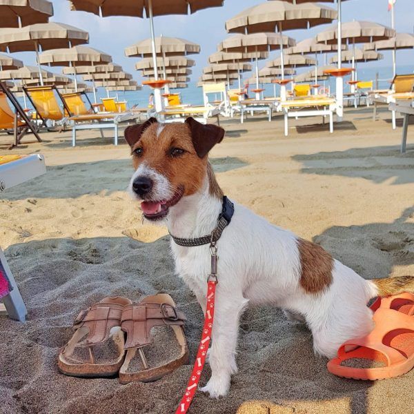 Jolly Beach