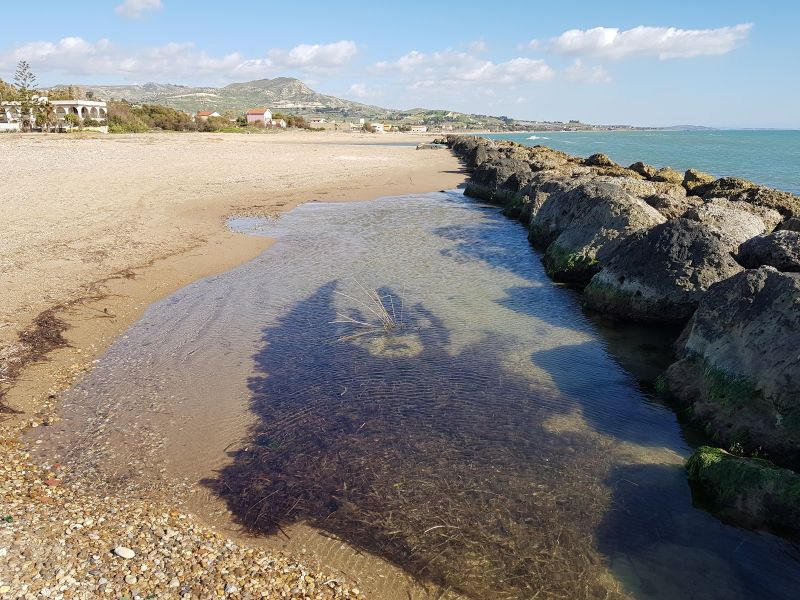 Insonnia Beach