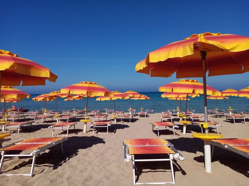Zelig Beach
