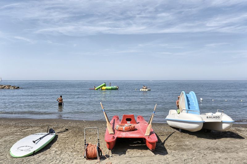 Il Delfino