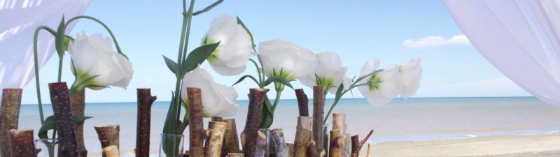 Oasi Beach