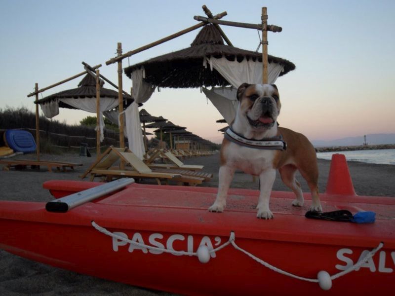Pascià Glam Beach