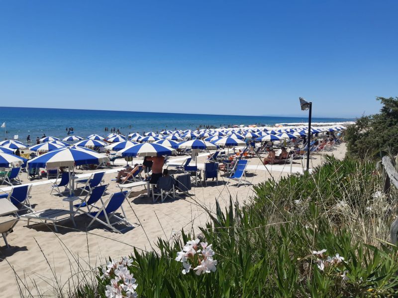 Lido La Conchiglia