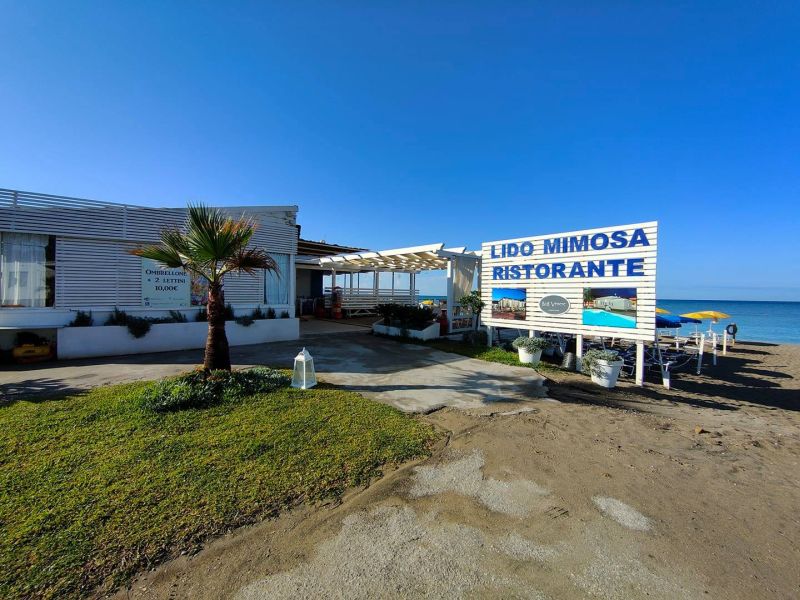 Lido Mimosa