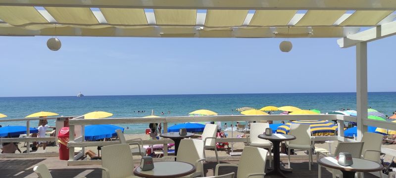 Lido Mimosa