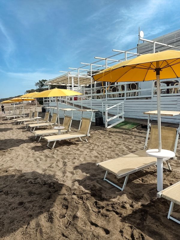 Lido Mimosa