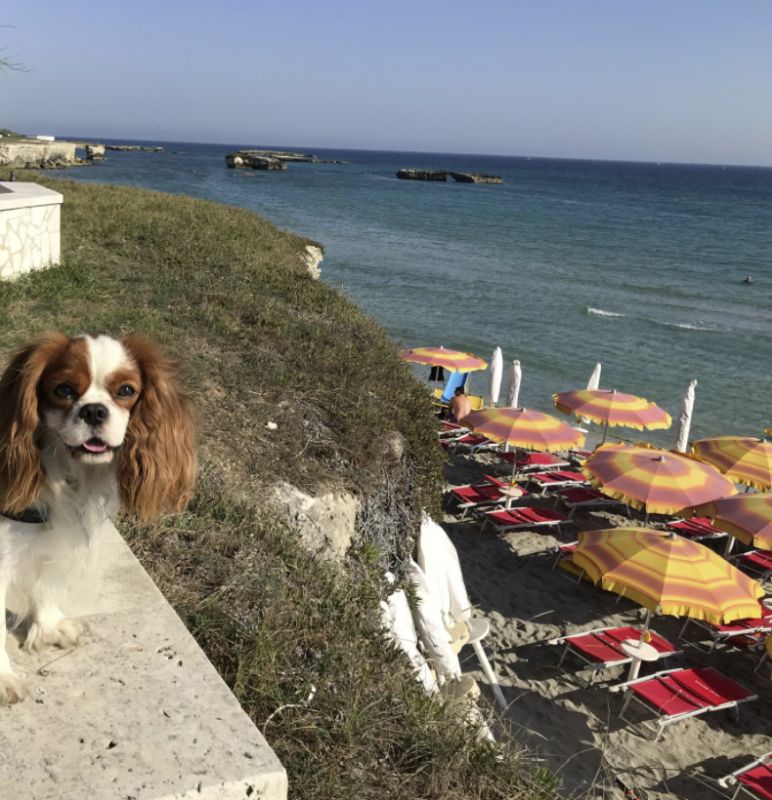 Spiaggia Dei Brigantini