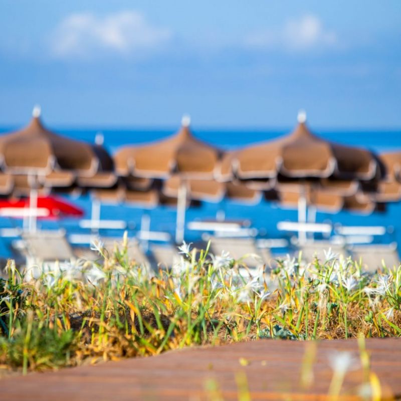 Resort Giglio Di Mare