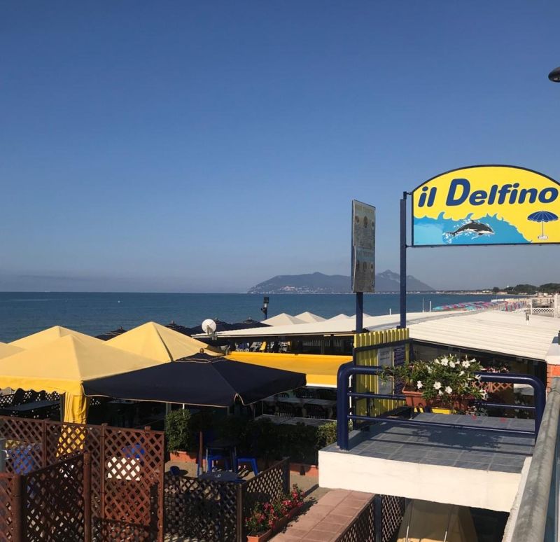 Il Delfino