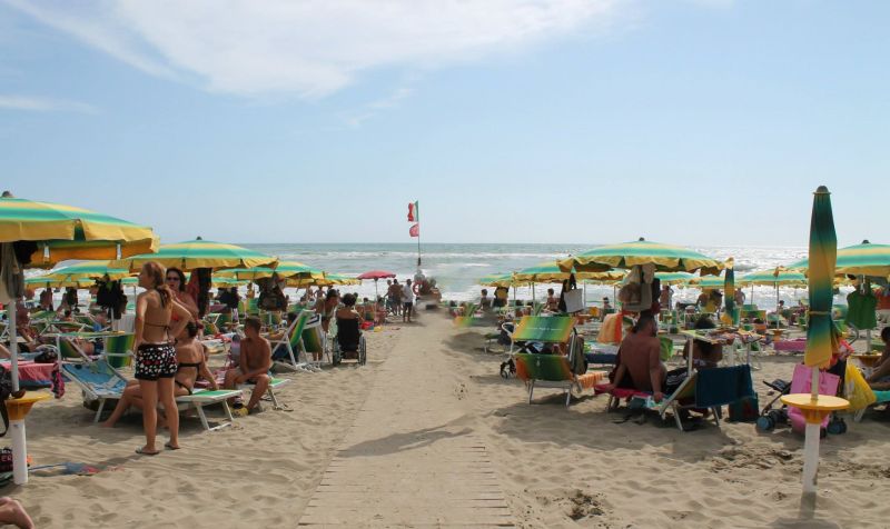 Il Ragno D'Oro