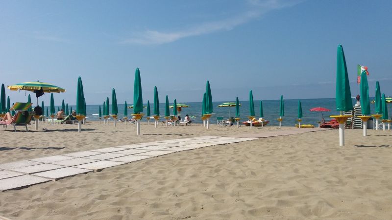 Il Ragno D'Oro