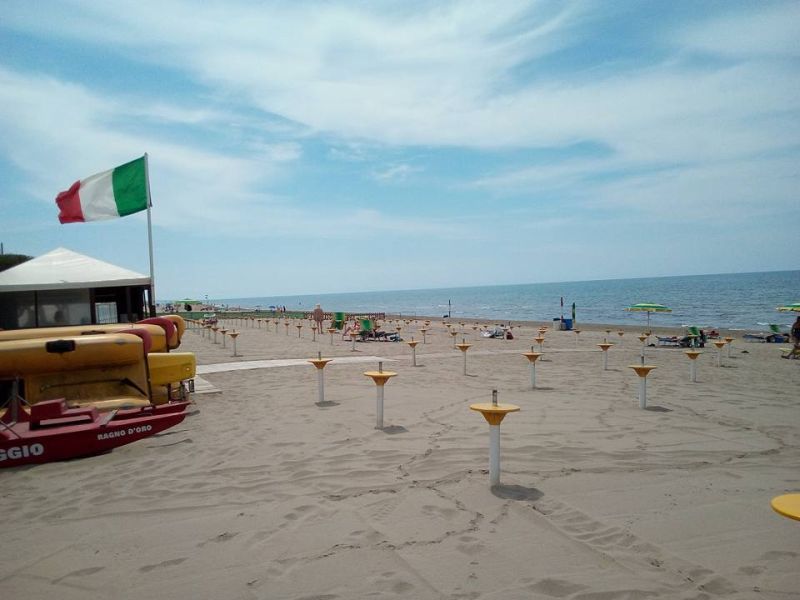 Il Ragno D'Oro