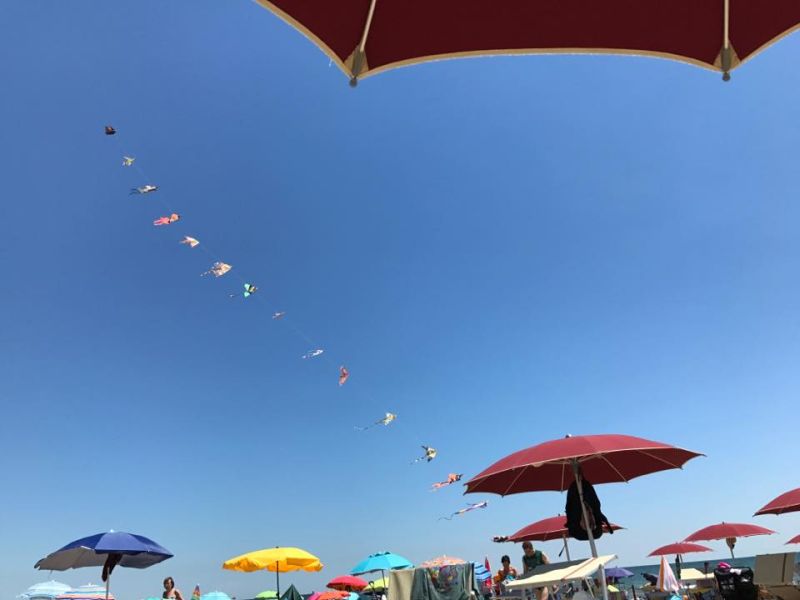 Punta Marina