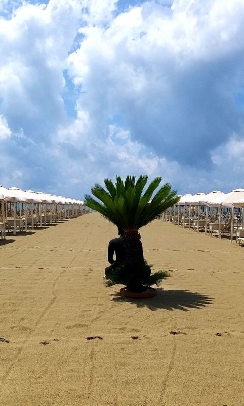 Danio Beach Club