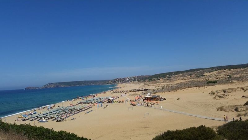 Beach & Sea Arbus