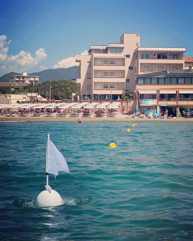 Il Delfino