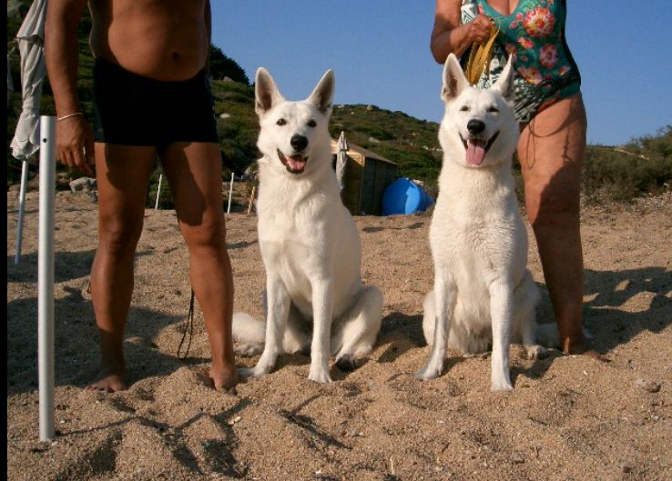 Porto Fido