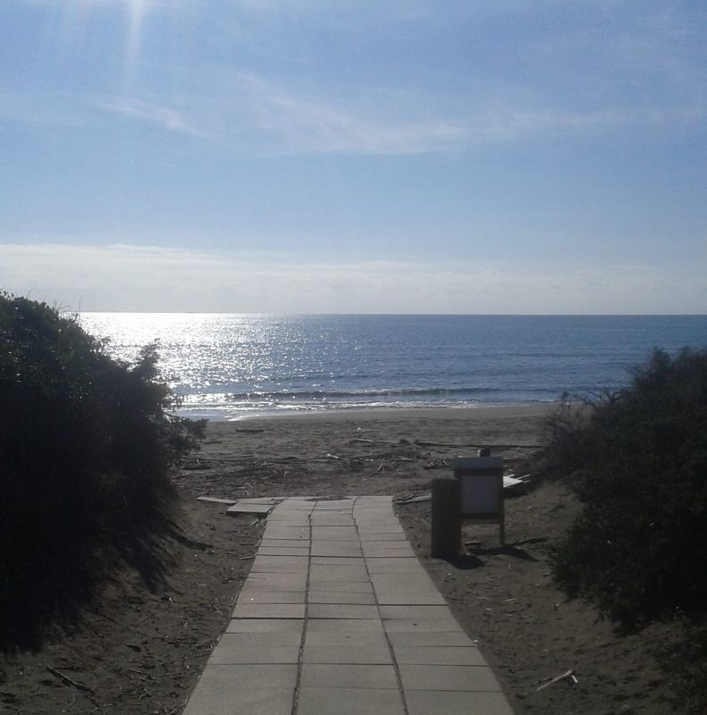 La Pineta Blu Dog Beach