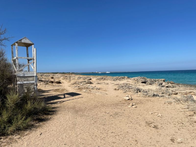 Ten Gallipoli