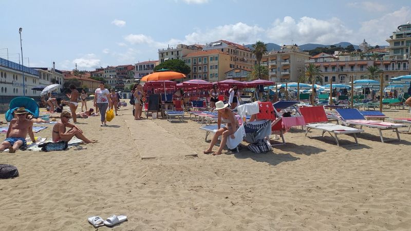 Arenella
