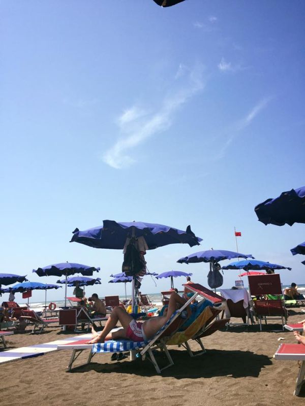Il Cormorano