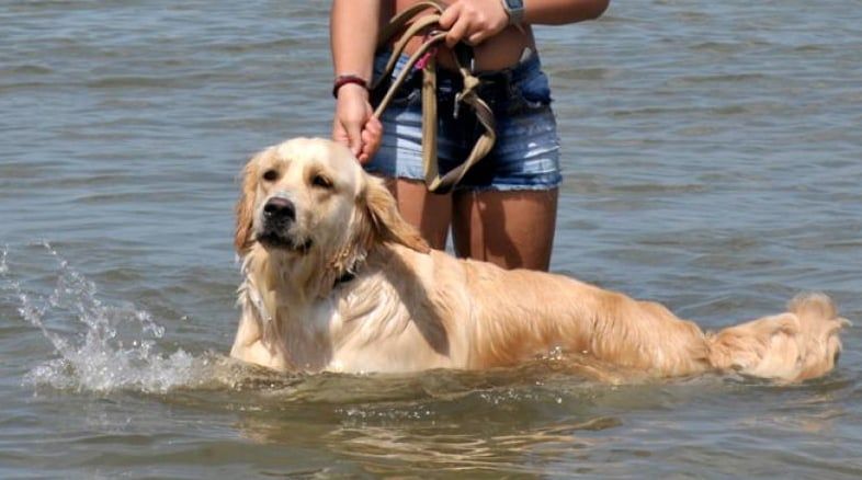 Sporting Beach
