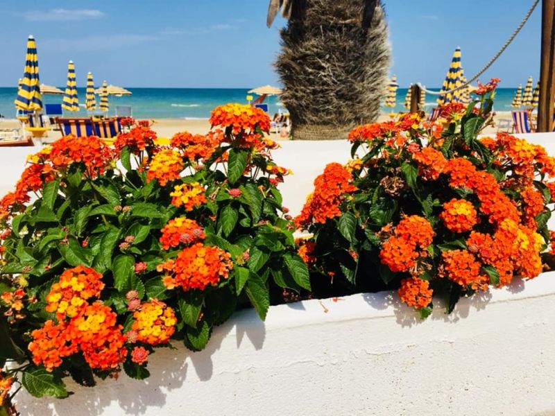 Lido Poseidon