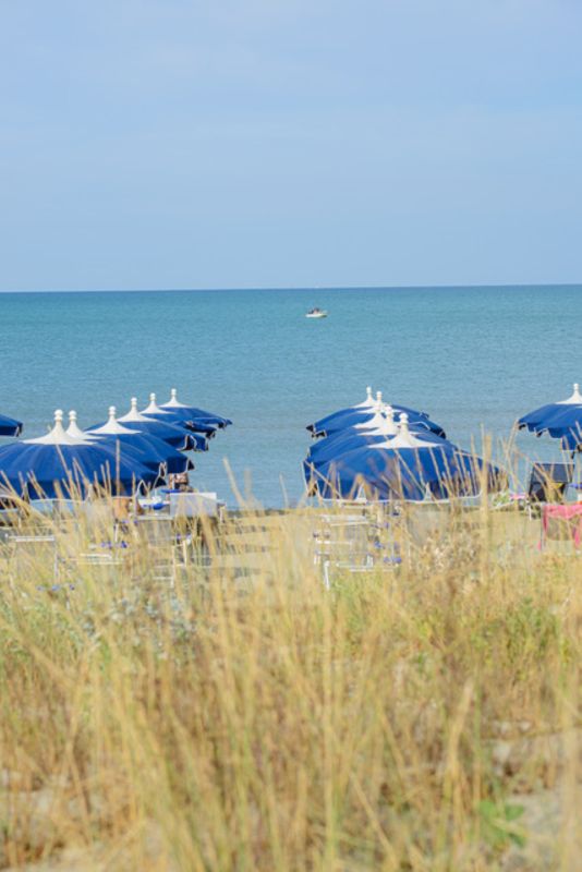 Solidago Resort