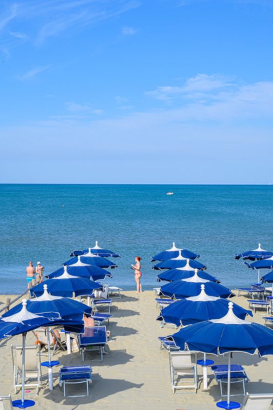 Solidago Resort