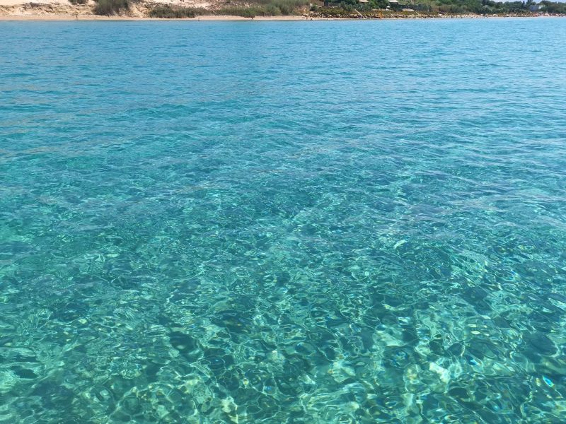 Harundo Mare