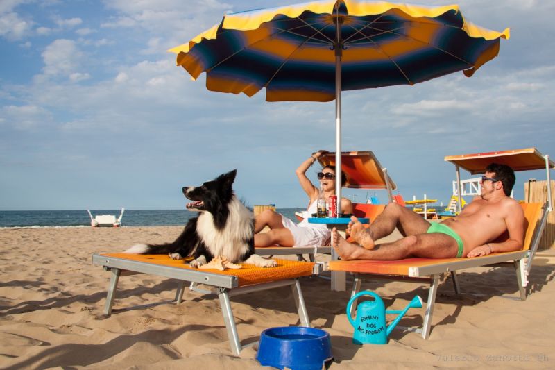 Bagno 81 No Problem & Rimini Dog No Problem
