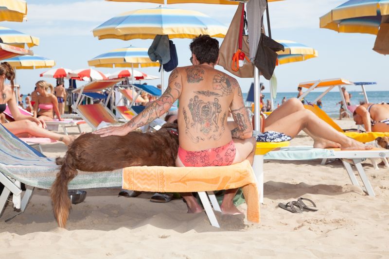 Bagno 81 No Problem & Rimini Dog No Problem