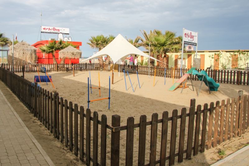 Bagno 81 No Problem & Rimini Dog No Problem