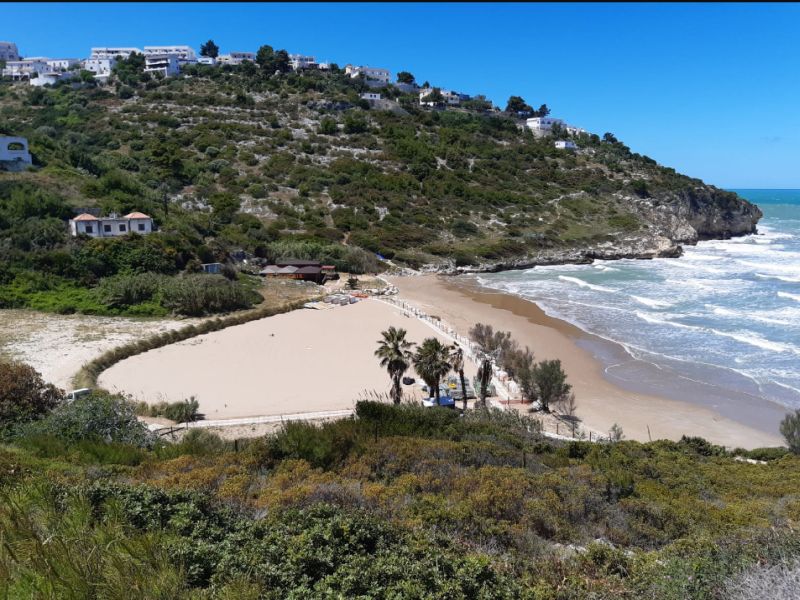 Baia dei Trabucchi Beach Club